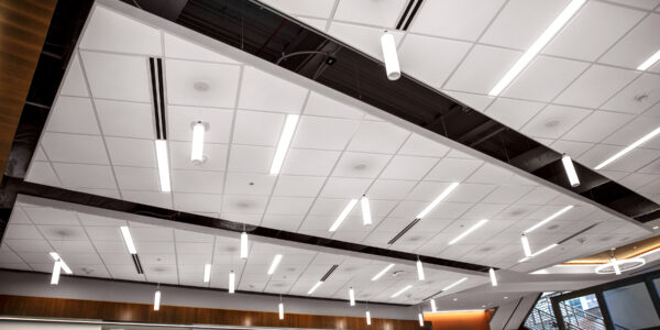 Acoustical Ceilings